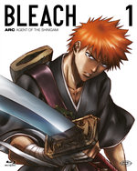 Bleach (First Press)